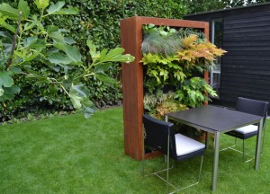 Green Divider  | Zeno Products - Zeno Products