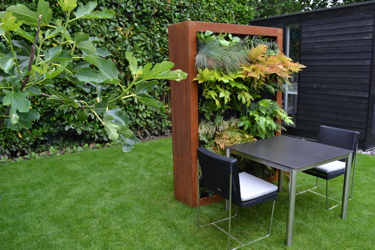 Green Divider  | Zeno Products