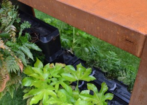 Green Divider  | Zeno Products