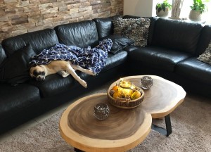 Suar boomstam salontafel | Woodindustries - Woodindustries