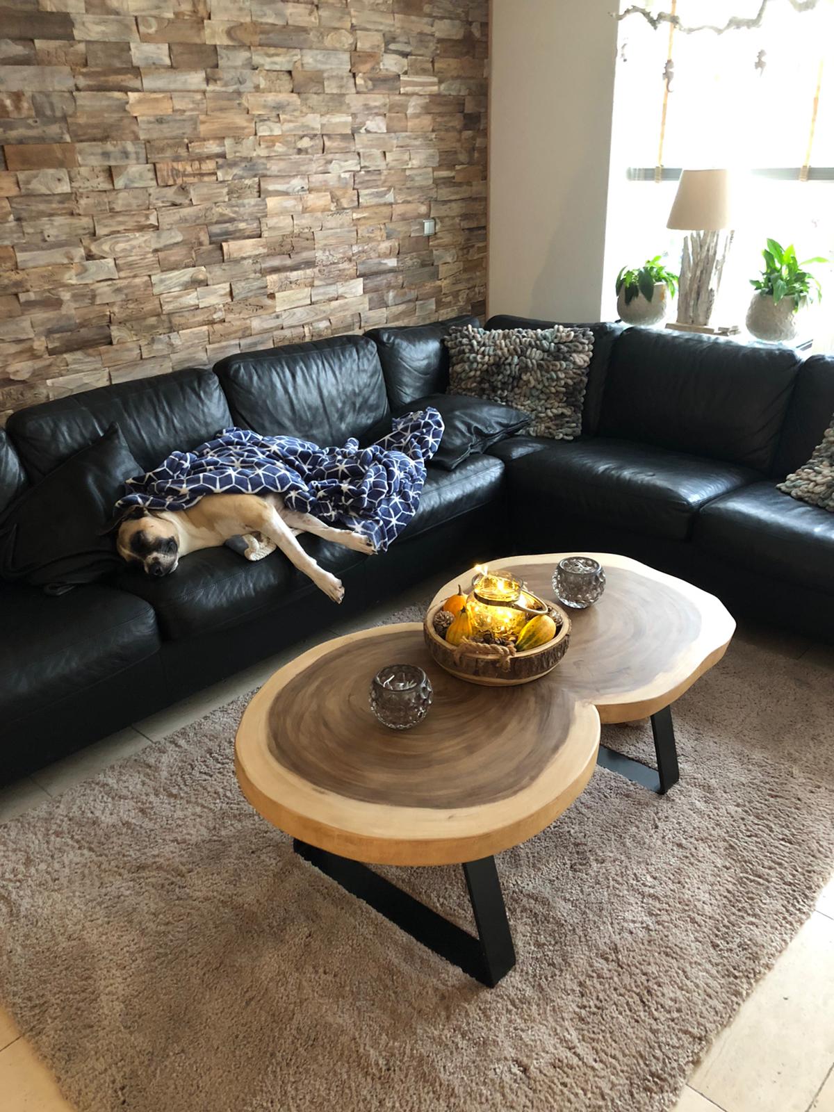 Suar boomstam salontafel | Woodindustries