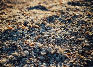 Isoschelp kruipruimte isolatie - Isoschelp