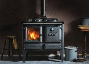 Houtgestookt fornuis Ironheart | Esse