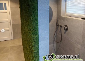 Groene moswand in de badkamer | Moswens