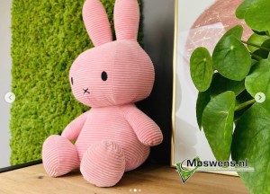 Moswand in de kinderkamer | Moswens - Moswens