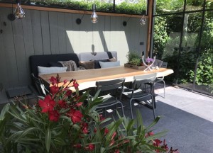 Boomstamtafel Suar | Woodindustries - Woodindustries