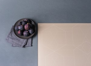 CERAN CLEARTRANS® | SCHOTT CERAN® - 