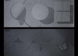 Fine Print | SCHOTT CERAN® - 