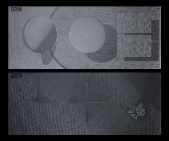 Fine Print | SCHOTT CERAN®