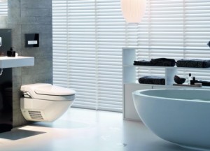 Bidetdouches & multifunctionele toiletbrillen - 