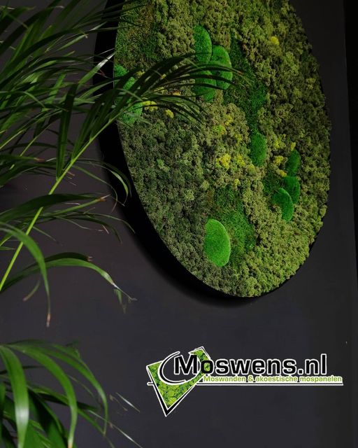Rond mosschilderij | Moswens