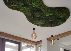 Mosplafond | Moswens - Moswens