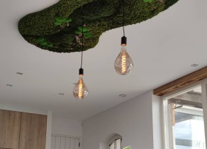 Mosplafond | Moswens