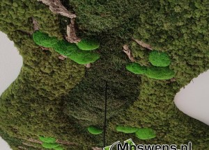 Mosplafond | Moswens