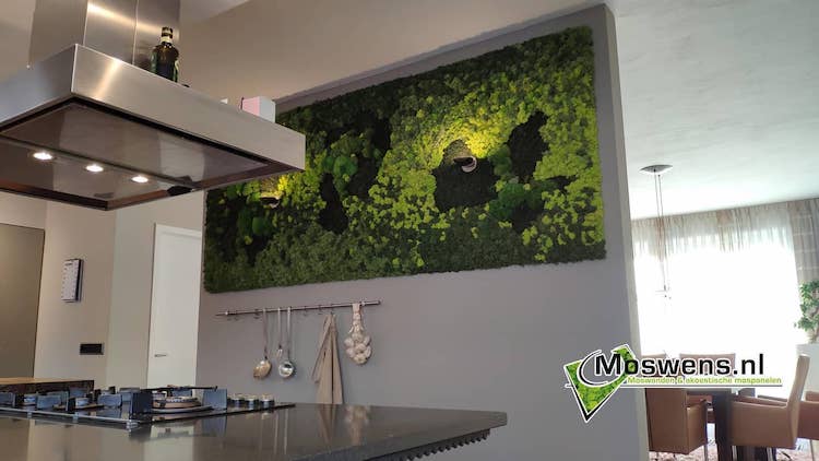 Mosschilderij met verlichting | Moswens