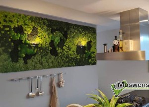 Mosschilderij met verlichting | Moswens