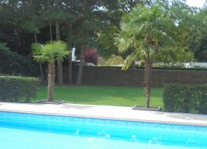 Bleeslatten afscheiding | Wilhout - Wilhout wilgentenen schuttingen