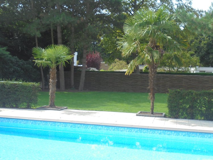 Bleeslatten afscheiding | Wilhout