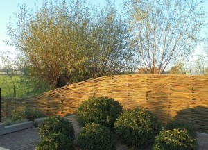 Bleeslatten afscheiding | Wilhout