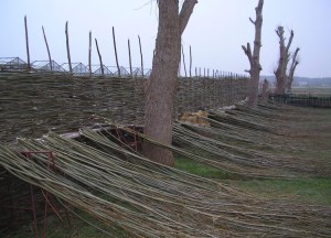 Vlechtmateriaal voor schutting | Wilhout - Wilhout wilgentenen schuttingen