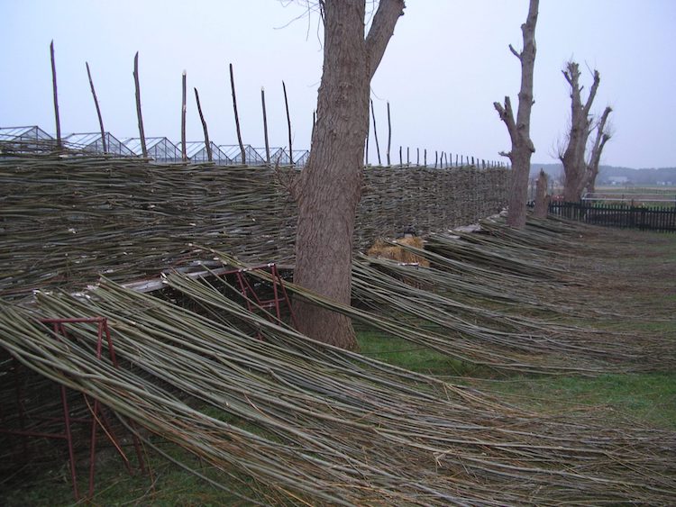 Vlechtmateriaal voor schutting | Wilhout