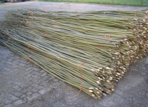 Vlechtmateriaal voor schutting | Wilhout