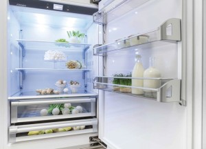 Brilliance koelkast | Fhiaba