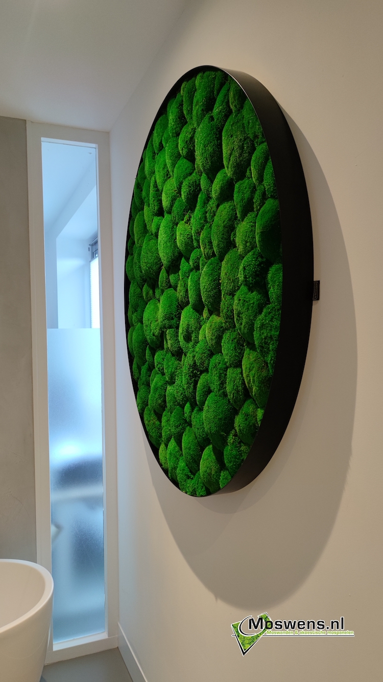 Bolmos wandcirkel | Moswens