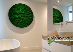 Bolmos wandcirkel | Moswens