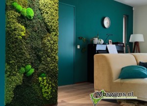 Maatwerk moswand | Moswens - Moswens
