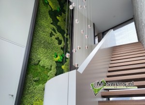 Maatwerk moswand | Moswens