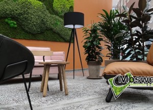 Plantaardige moswanden | Moswens