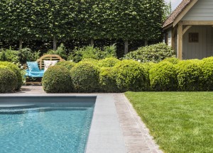 Modern zwembad | Compass Pools