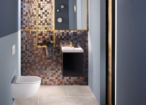 vtwonen 'weer verliefd op je huis' toiletmetamorfose - Geberit