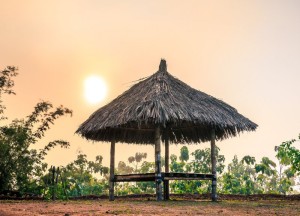 Je eigen foto laten drukken op behang  - 