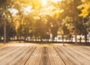 Extra genieten van je tuin met onderhoudsvriendelijke terras en schutting - 