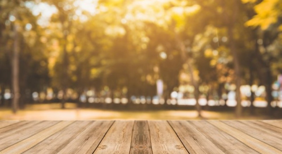Extra genieten van je tuin met onderhoudsvriendelijke terras en schutting