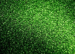 Echt gras of kunstgras: waar ga jij voor? - 