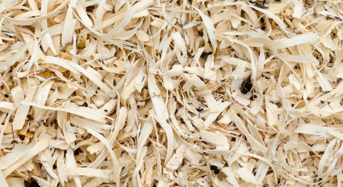 De veelzijdigheid van hout