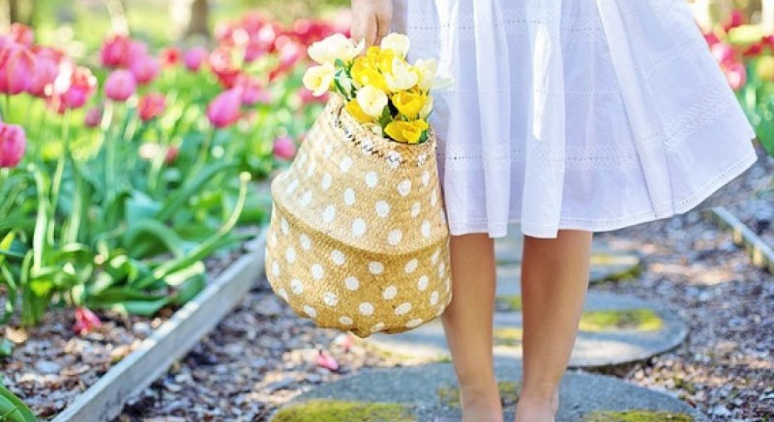 Zo maak je jouw tuin klaar voor het voorjaar!