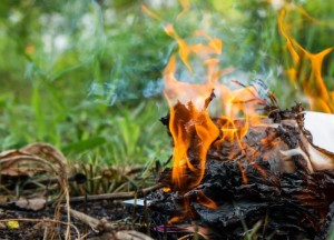 Schade aan tuinspullen door hitte: vergoed via de inboedelverzekering? - 