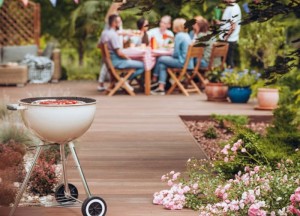 Hoe verzeker je spullen in de tuin? - 