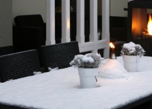 Maak van jouw tuin een winterwonderland - 