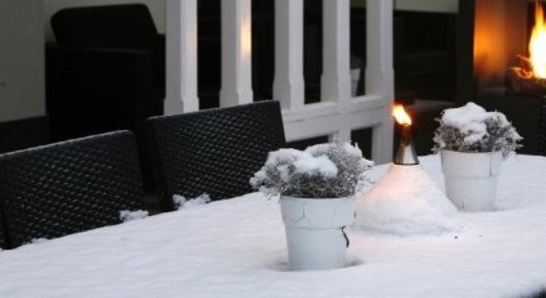 Maak van jouw tuin een winterwonderland