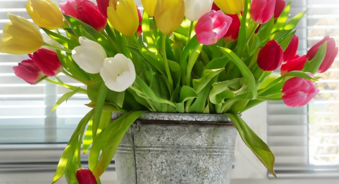 3 tips om je huis zomerklaar te maken