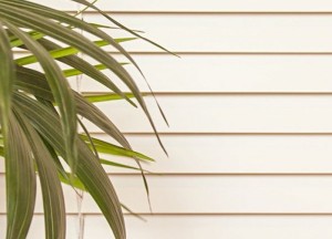 Jaloezieën of rolgordijnen? - 