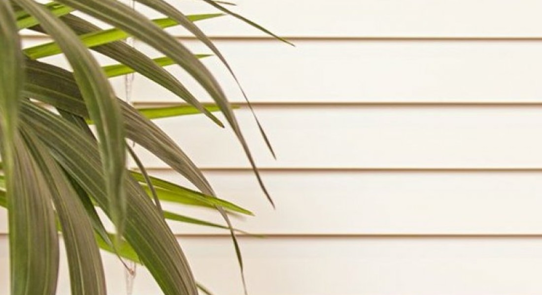 Jaloezieën of rolgordijnen?