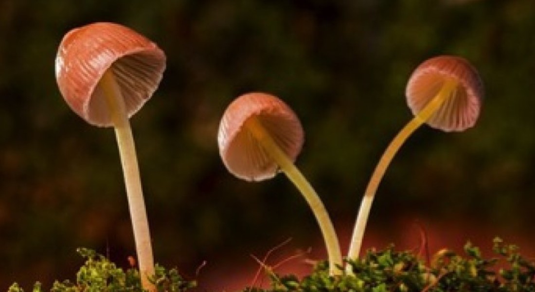 Genieten van de herfst