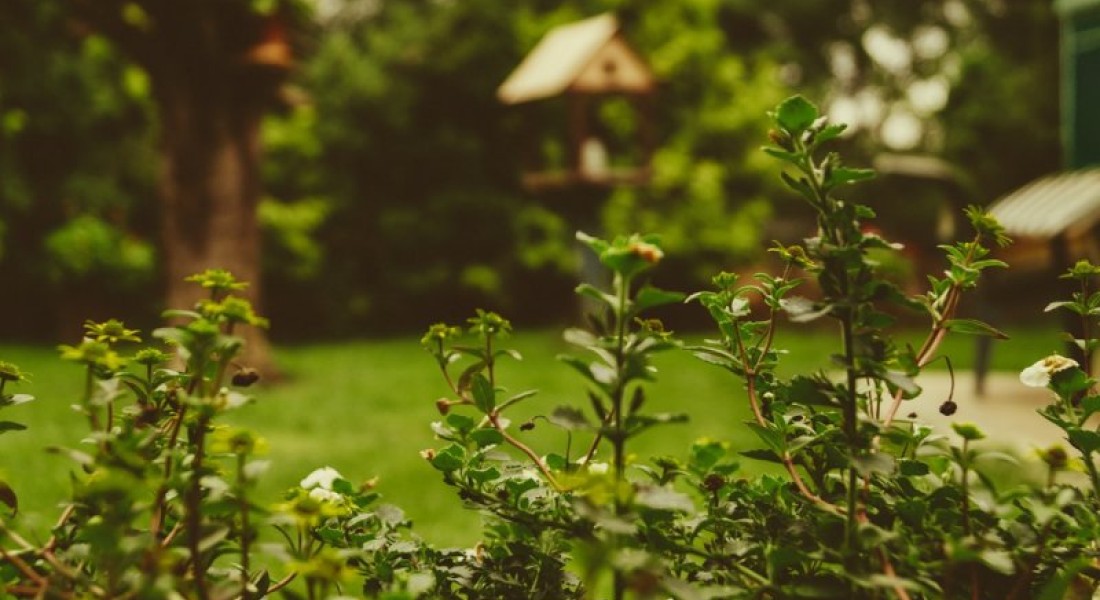 Idealen voor je tuin? Tijd om ze waar te maken!