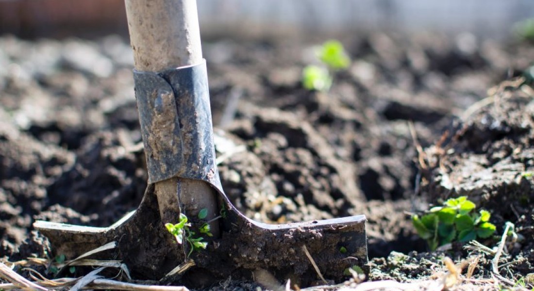 Is je tuin een rommeltje? Wat een erfzonde!